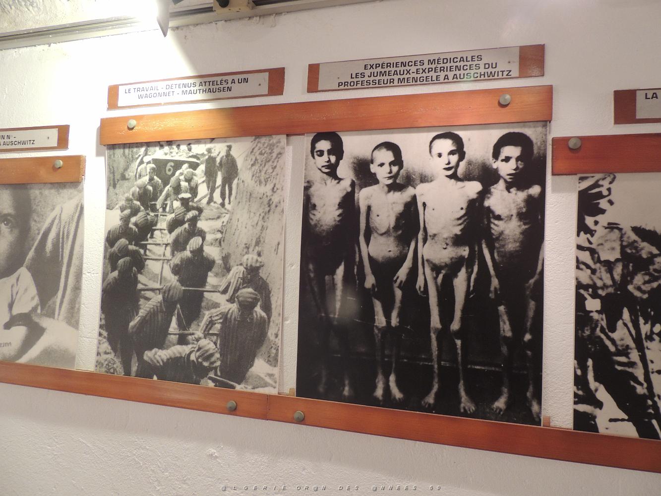 2019 04 28 TOULON HOMMAGE AUX VICTIMES DE LA DEPORTATION (50).JPG -           